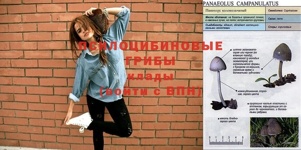 синтетический гашиш Баксан