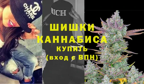 шишки Балахна