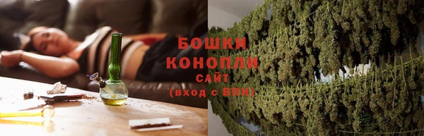 ПСИЛОЦИБИНОВЫЕ ГРИБЫ Балабаново