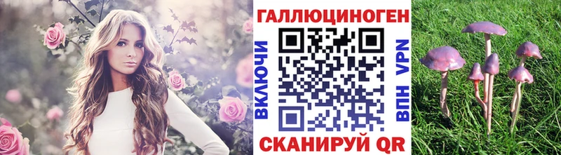 Псилоцибиновые грибы ЛСД  Бутурлиновка 
